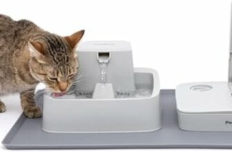 Amazon Exclusive: 15% Off PetSafe Fountain and Feeder Mat