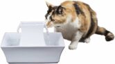 Amazon Special: 20% Off PetSafe Drinkwell Pagoda Pet Fountain