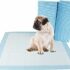Amazon Special: 11% Off Veken 95oz Pet Fountain for Cats & Dogs!