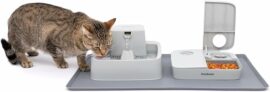 Amazon Exclusive: 15% Off PetSafe Fountain and Feeder Mat