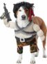 Amazon Exclusive: 24% Off California Costumes Pet Costume